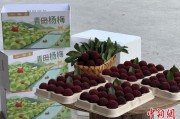 起卦问事高速赋能产业升级：一条“杨梅路”的致富密码