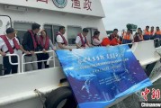 起卦问事浙江今年计划放流种类海洋水生生物苗种超15亿单位
