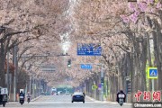 起卦问事共建“花园城市” 北京这场议政会“百花齐放”