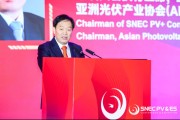 起卦问事SNEC大会开幕 朱共山：这一年大家都过得不容易 困难是暂时的